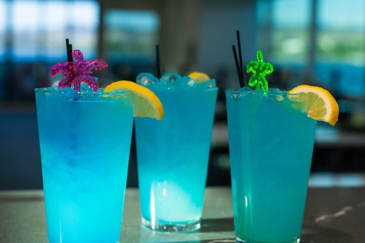 Three blue cocktails with lemon slices on a bar counter.